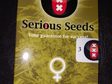 Sell: The Chronic by Serious Seeds, 3 fem. seeds. Legendary bud!