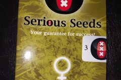 Vente: The Chronic by Serious Seeds, 3 fem. seeds. Legendary bud!