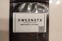 Subastas: Auction - Blackberry Cream - 12 Regs