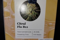 Vente: Citral Flo bx1 by Ethos 17 regular seeds.