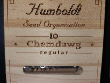 Vente: Chemdawg by Humboldt Seed Organization, 10 regular seeds
