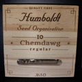 Venta: Chemdawg by Humboldt Seed Organization, 10 regular seeds