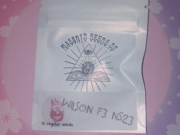 Vente: Wilson F3  "Natural Selections '23"  - Masonic Seeds