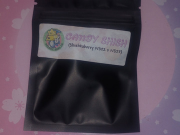 Venta: Candy Shish - Masonic Seeds