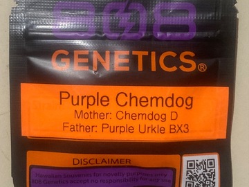 Subastas: Purple Chemdog (Chem D x Urkle BX3) - 808