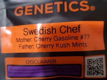 Sell: SWEDISH CHEF 808 GENETICS