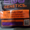 Vente: SWEDISH CHEF 808 GENETICS