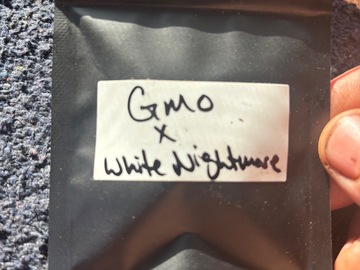 Vente: GMO x White Nightmare