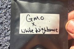 Venta: GMO x White Nightmare