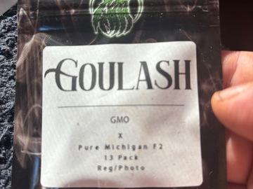 Sell: GMO x Pure Michigan F2 from Greenwolf