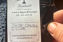 Sell: Ghost Candy