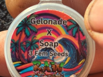 Sell: Gelonade x Soap