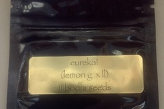 Venta: Eureka (Lemon G x Lavender Lemonade) - Bodhi Seeds