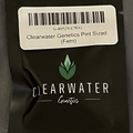 Sell: Clearwater genetics pint sized