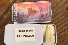 Sell: Flambanger by Bloom Seeds Co REG Pollen