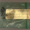 Sell: GG4 x 88G13HP - Bodhi Seeds