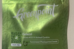 Vente: Gelazzi (Gelato 33 x Animal Cookies) - Greenpoint Seeds