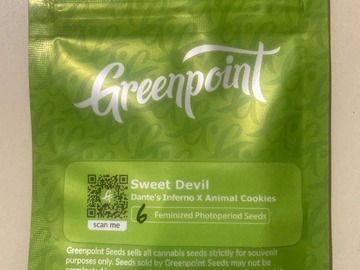 Sell: Sweet Devil (Dantes Inferno x Animal Cookies) - Greenpoint