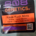 Sell: KAUAI KUSH MINTS 808 GENETICS