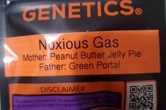 Vente: NOXIOUS GAS 808 GENETICS