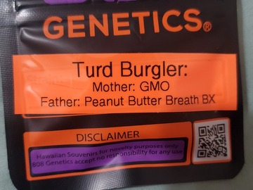 Venta: TURD BURGLER 808 GENETICS