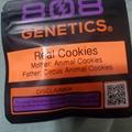 Vente: REAL COOKIES 808 GENETICS