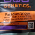 Venta: PALLADIUM WIDOW 808 GENETICS