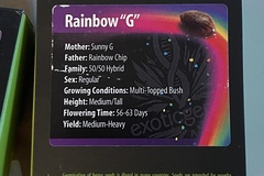 Venta: Rainbow G by exotic genetix