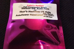 Vente: Viking Gardens Loki's Potion 6 Pack Auto Fem