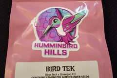 Sell: Humminbirds Hills Bird TEK Auto Fem 4 pack