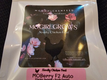 Venta: Mogirl Grows MOberry F2 Auto 5 pack