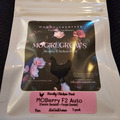 Sell: Mogirl Grows MOberry F2 Auto 5 pack