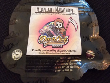 Vente: Night Owl Seeds Midnight Marathon 5 pack
