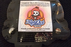 Venta: Night Owl Seeds Strawberry Milk and Qookies Remix 3 pack