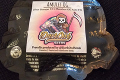 Sell: Night Owl Seeds Amulet OG 3 pack