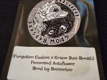 Sell: Berserker Genetics Forgotten Cookies x Grape Dosi Breath 6 pack