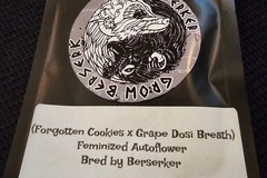 Vente: Berserker Genetics Forgotten Cookies x Grape Dosi Breath 6 pack