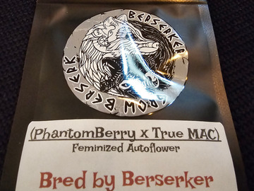 Vente: Berserker Genetics  Phantomberry x Tru Mac 6 pack