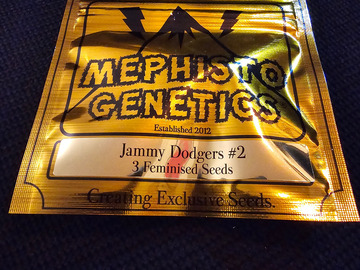 Sell: Mephisto Genetics Jammy Dodgers #2 5 pack