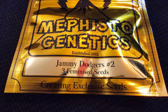 Vente: Mephisto Genetics Jammy Dodgers #2 5 pack