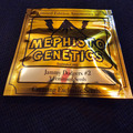 Venta: Mephisto Genetics Jammy Dodgers #2 5 pack