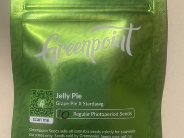 Auction: Jelly Pie (Grape Pie x Stardawg) - Greenpoint