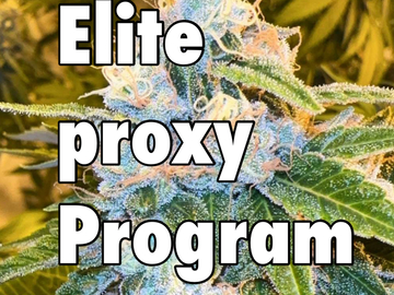 Vente: Elite proxy program (500+ strains!)
