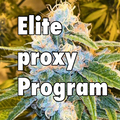 Venta: Elite proxy program (500+ strains!)
