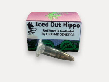 Venta: ICED OUT HIPPO (Red Runtz x GasBasket) 7 FEMS