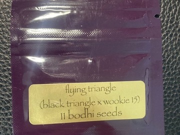 Auction: Flying Triangle (Black Triangle x Wookie 15) - Bodhi Seeds
