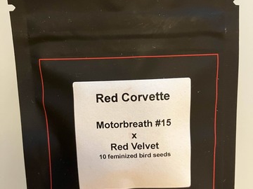 Venta: Red Corvette from LIT Farms