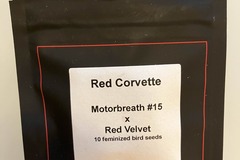 Sell: Red Corvette from LIT Farms