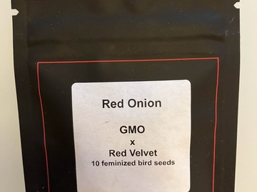 Venta: Red Onion from LIT Farms