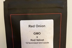 Sell: Red Onion from LIT Farms